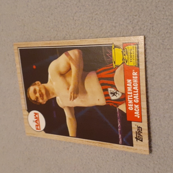 5 WWE NXT Rookie Cards 2012/2014 Topps 2022 Select / Panini - Picture 6 of 6